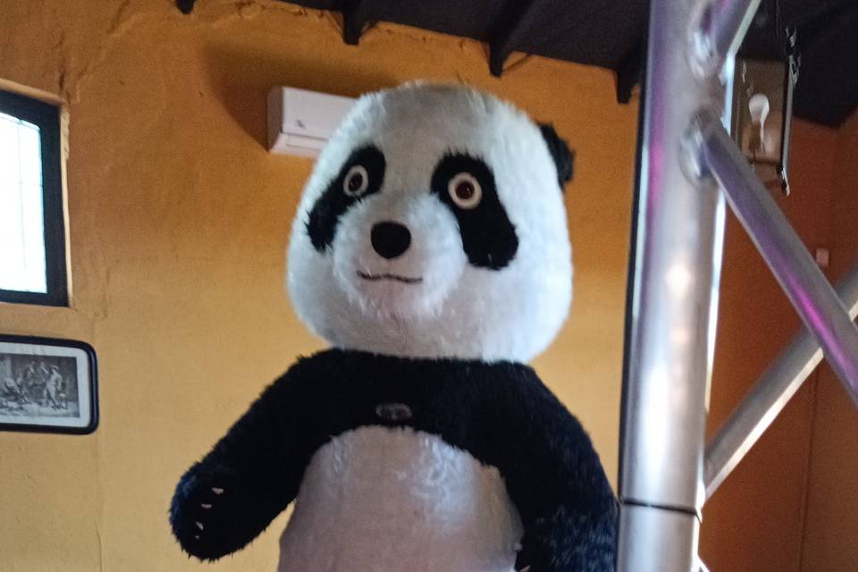Oso panda