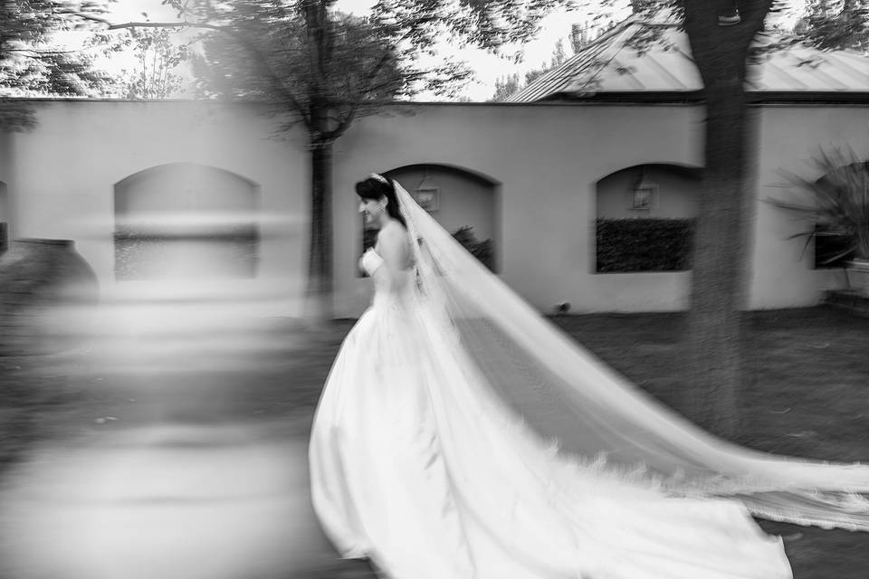 Novia la carrera