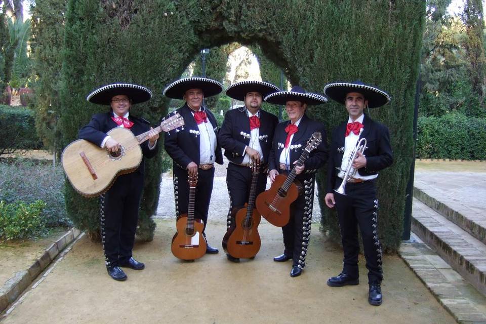 Quinteto mariachi