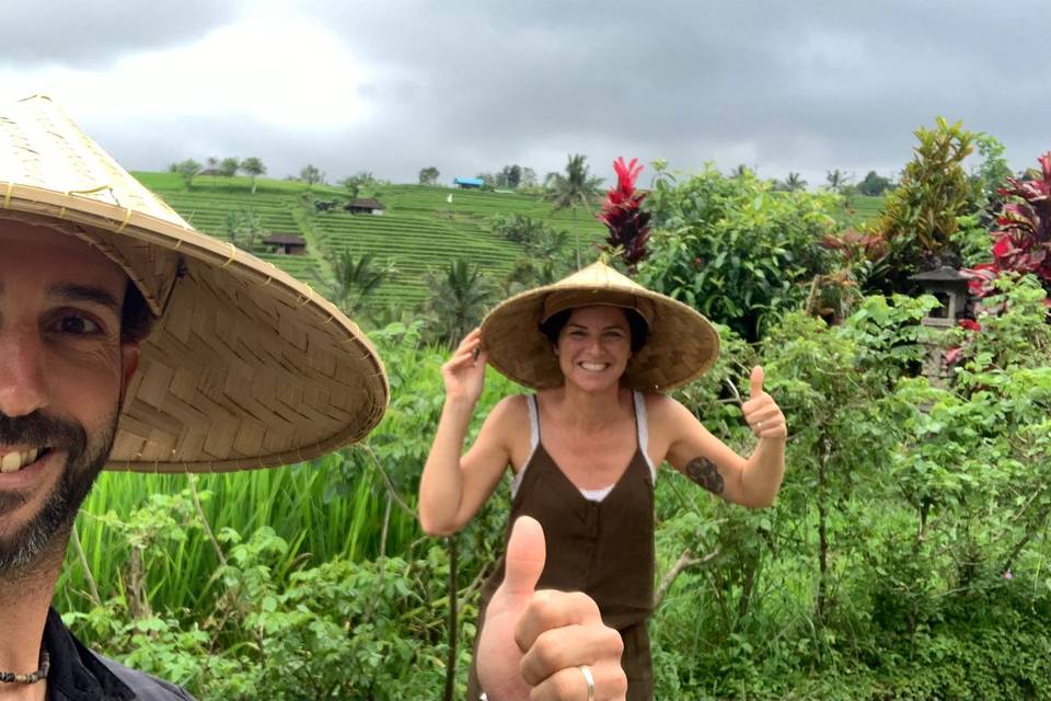 Arrozales en Bali