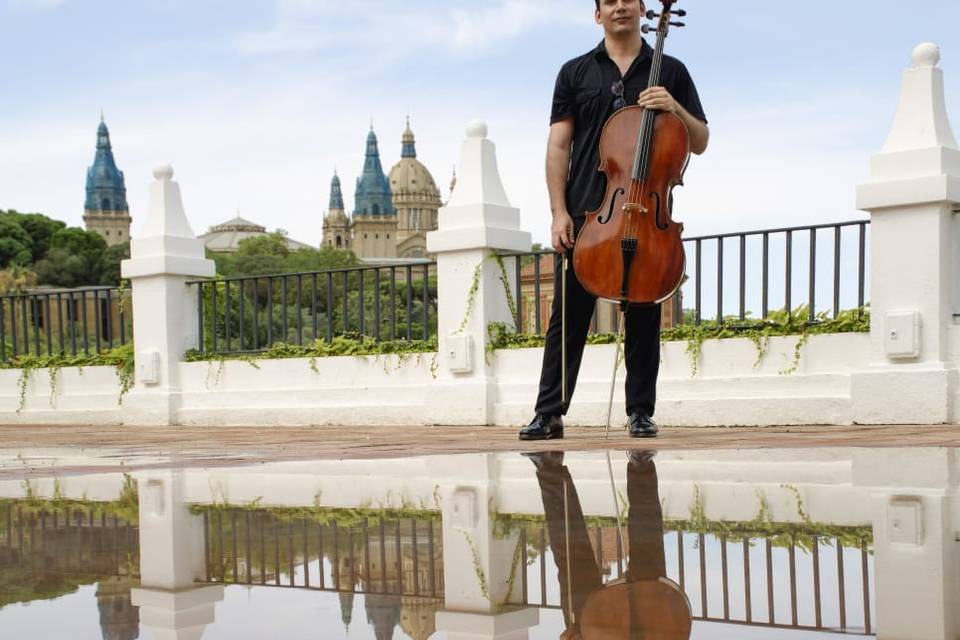 Cello Reflejo