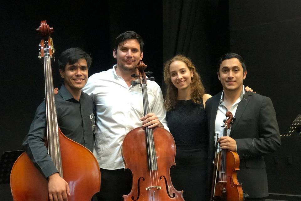 Celloweddings