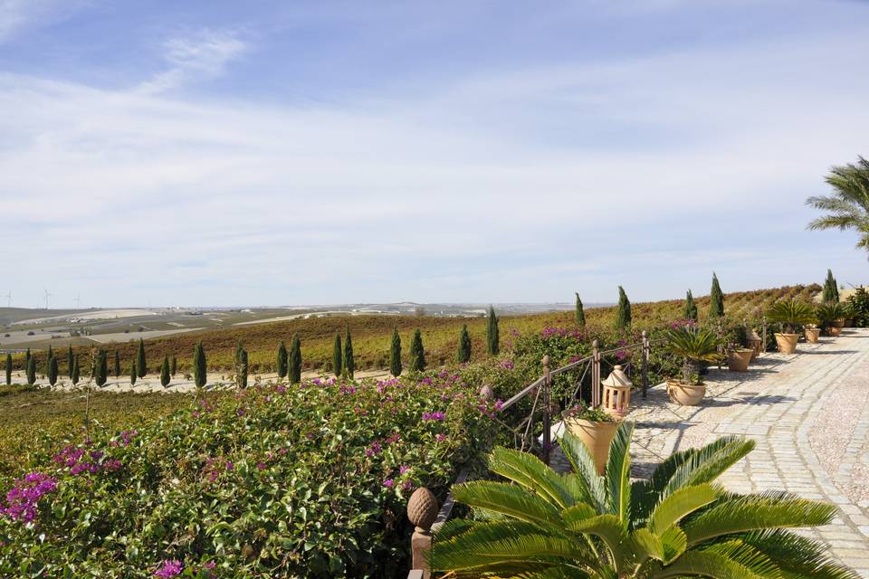 Bodegas Luis Peréz