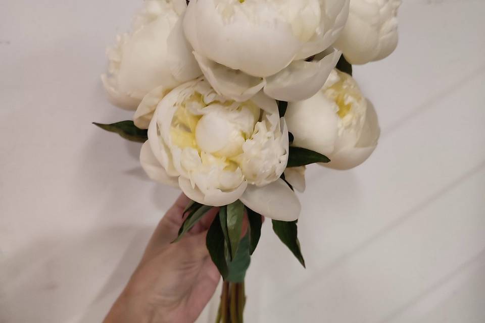 Peonias