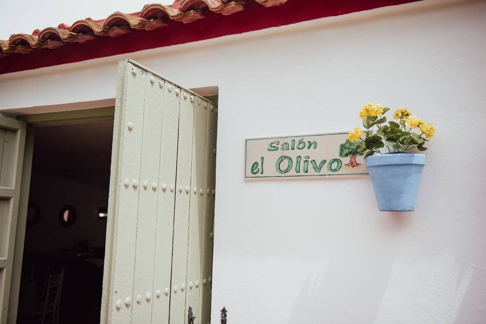 Salón olivo