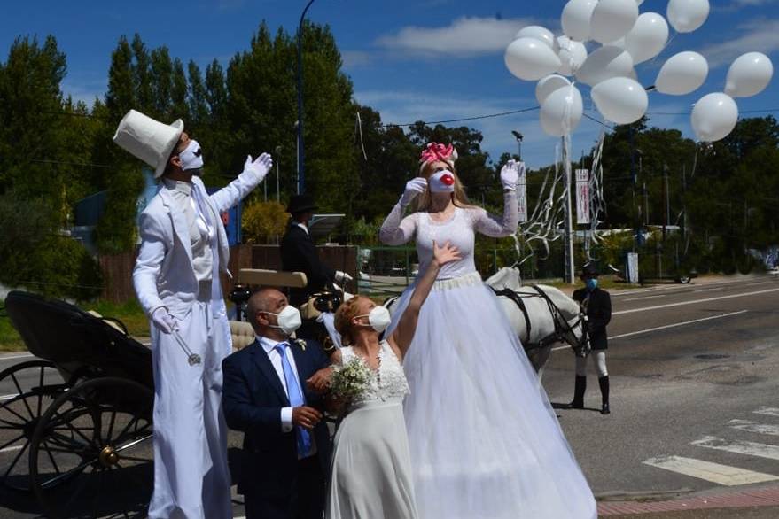 Zancudos para tu boda