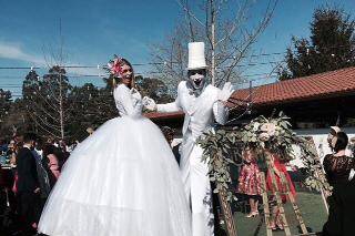 Zancudos para tu boda