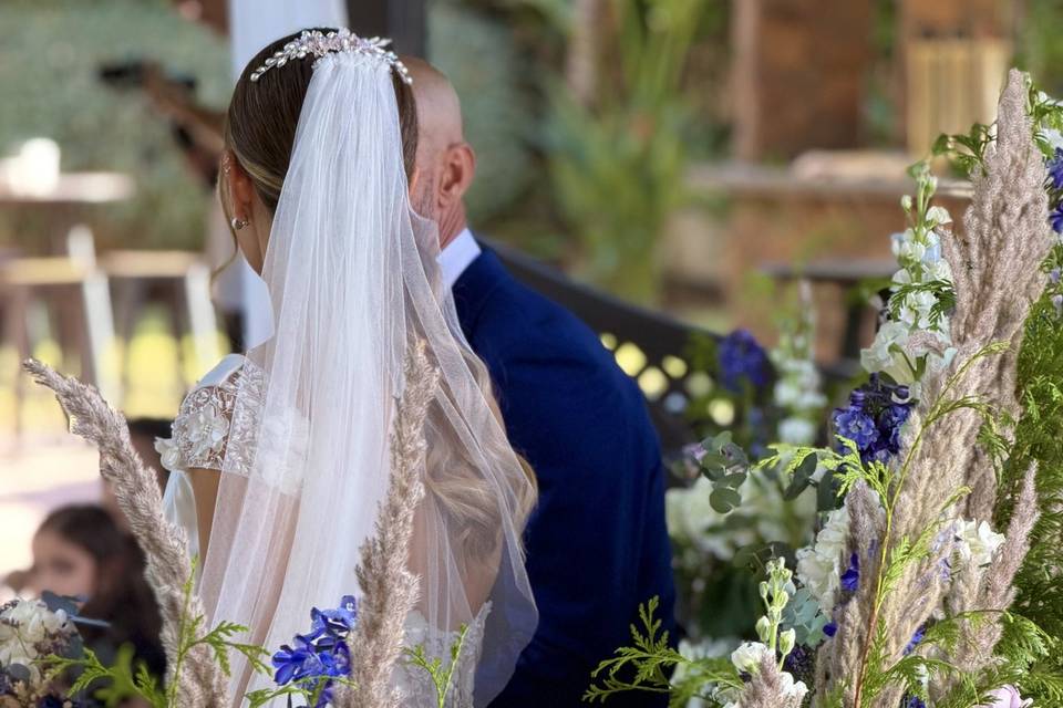 Novios