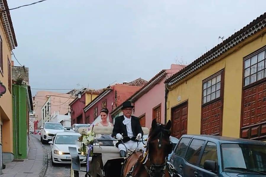 Carruaje