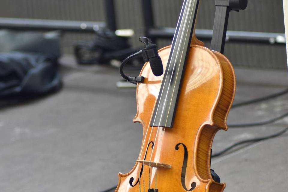 Violín