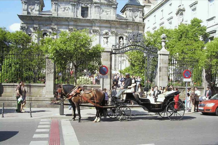 Carrozas de caballos