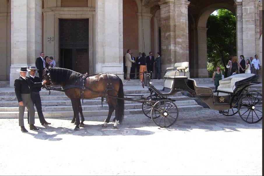 Coches de caballo en Madrid