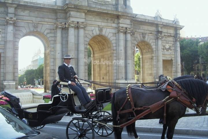 Coche de caballos