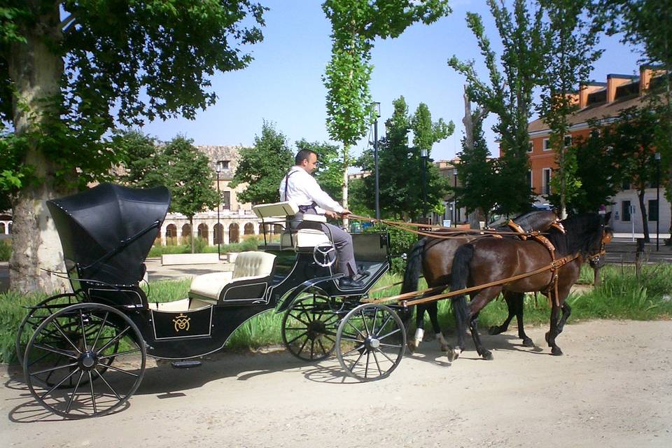 Coche de caballos Miguel Ocaña