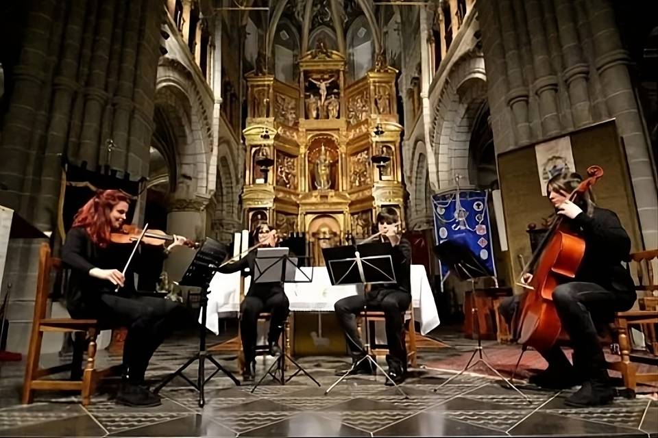 Boda en Tarazona