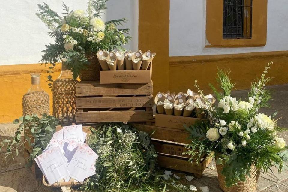 Boda
