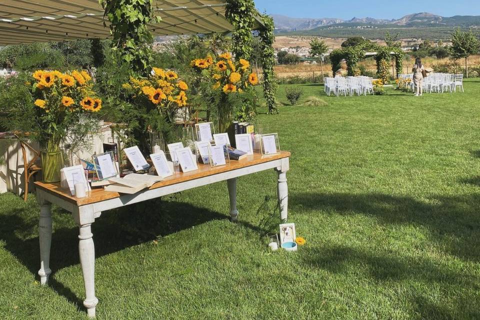 Boda