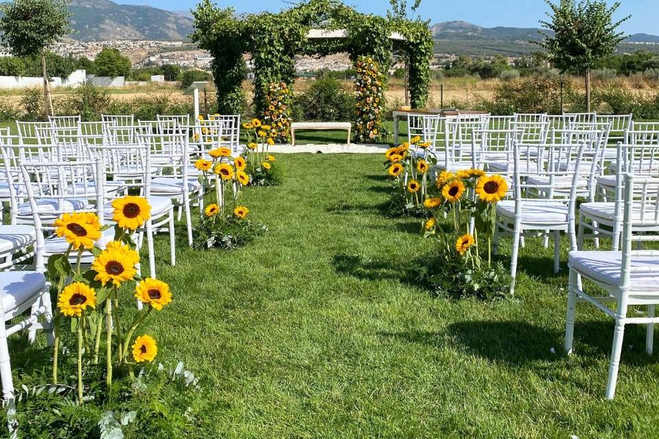 Boda