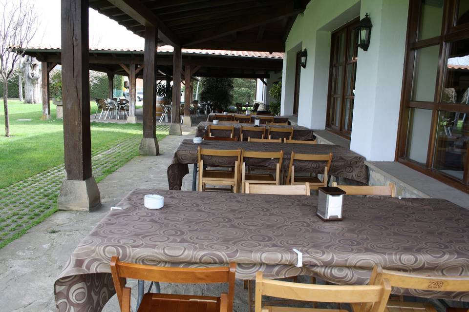 Terraza y jardines