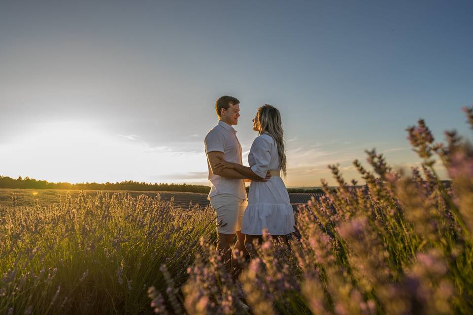 En un campo de lavanda