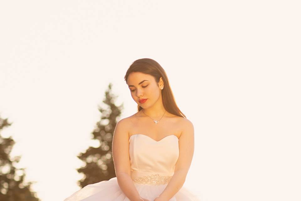 Novia