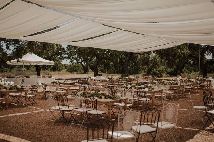 Boda cóctel