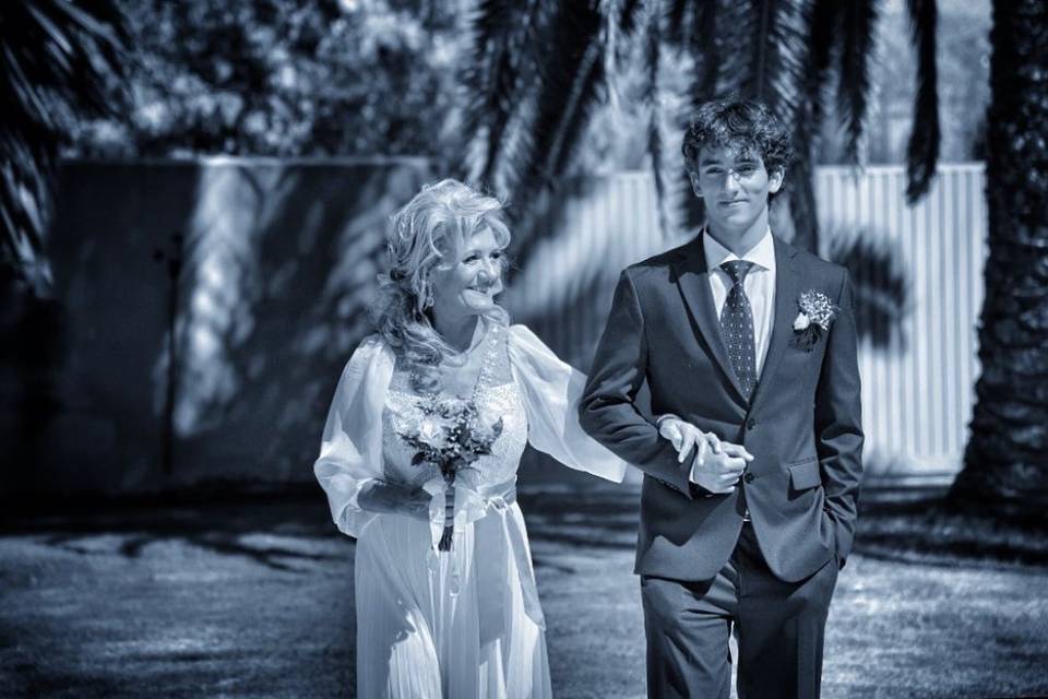 Bodas