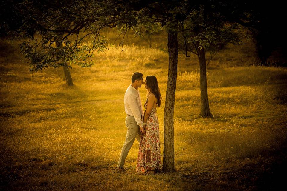 Bodas