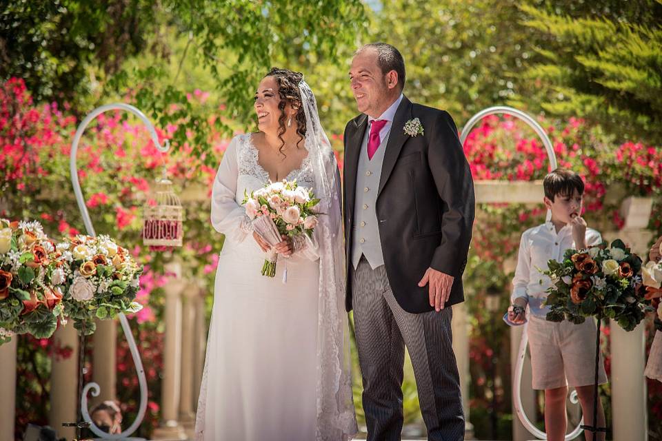 Bodas