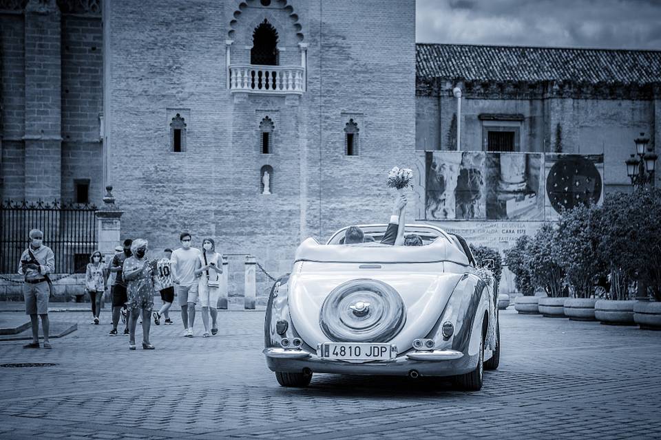 Bodas
