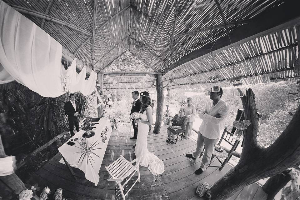 Bodas