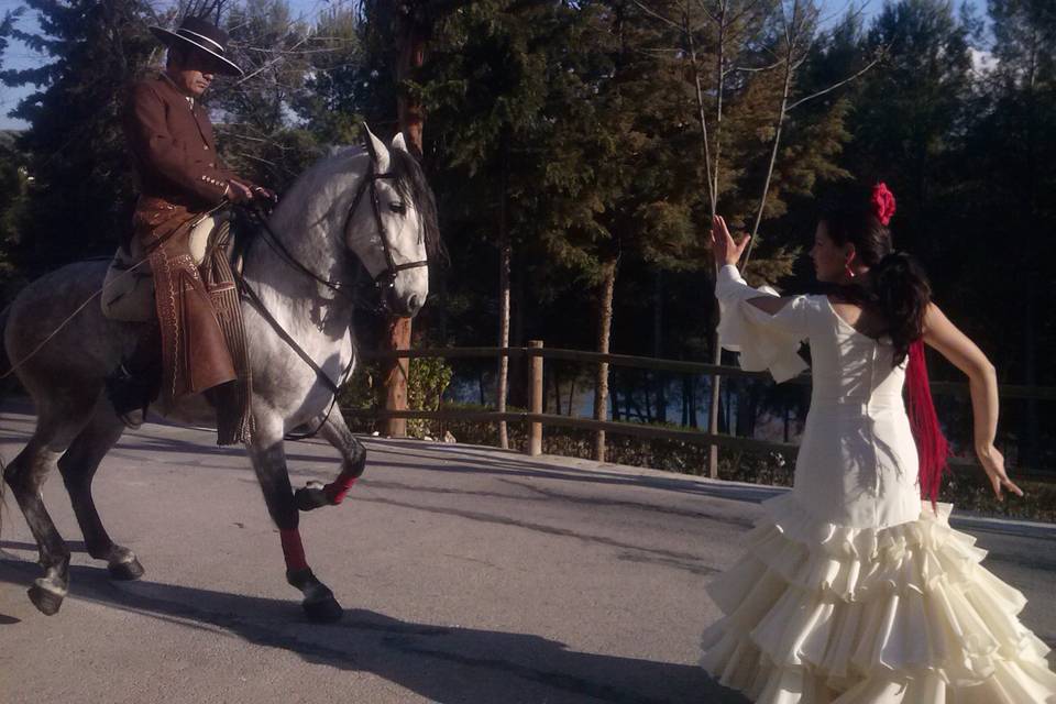 Sevillanas a caballo para boda