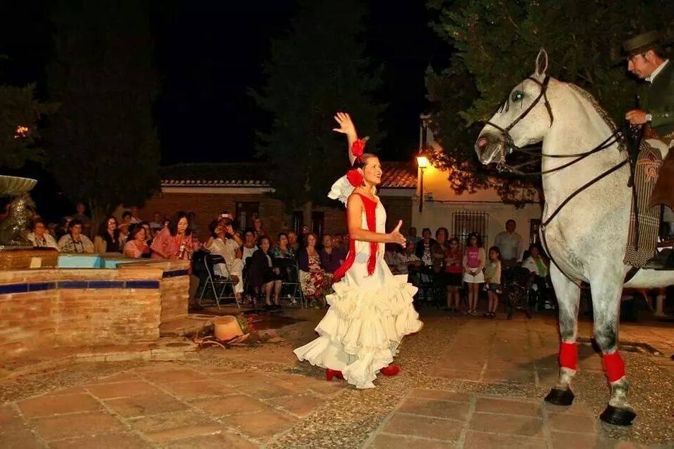 Velada flamenca en Córdoba