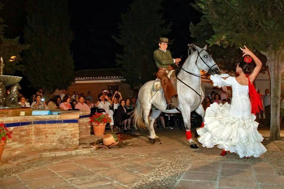 Flamenco a caballo