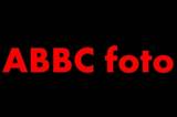 logo abbc foto