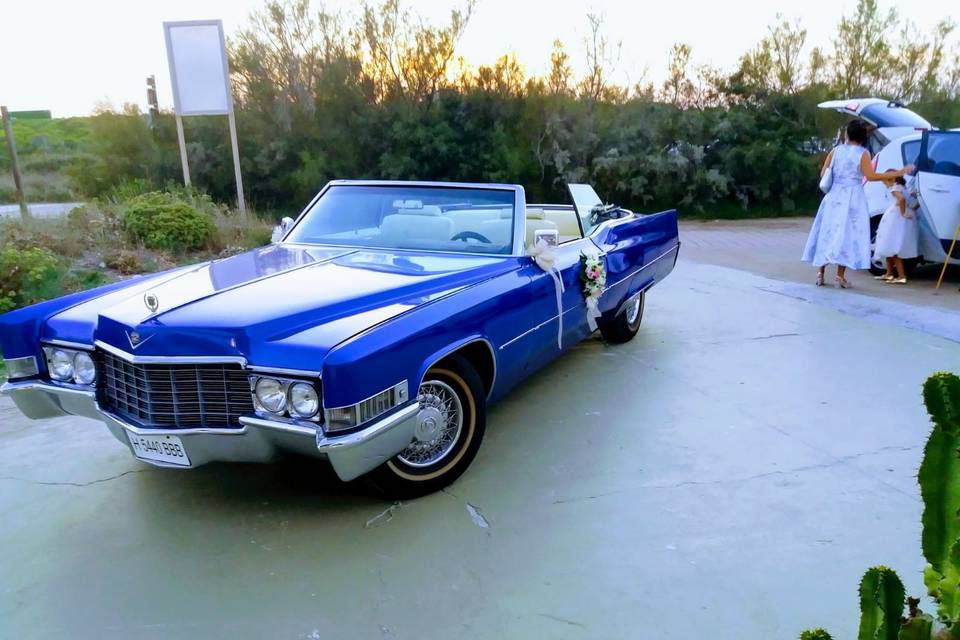 Miquel - Cadillac deville