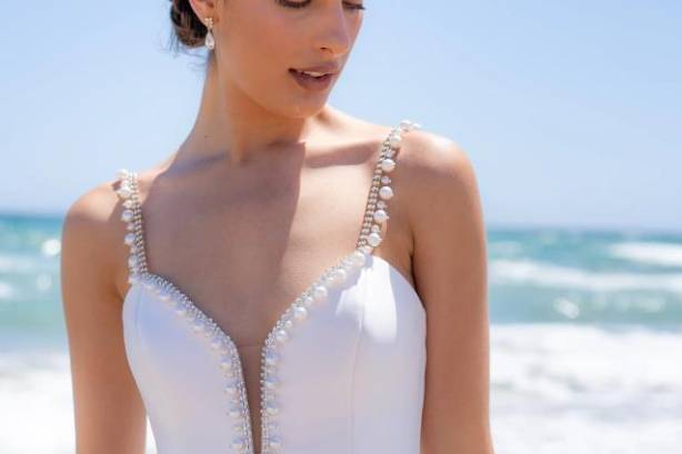 Novia fabulosa