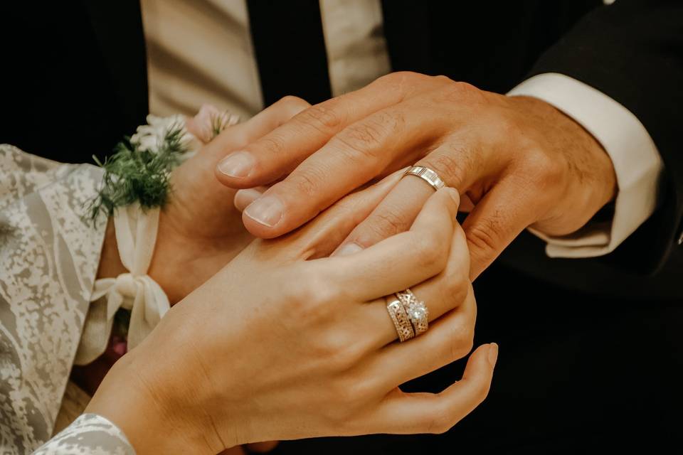 Novios