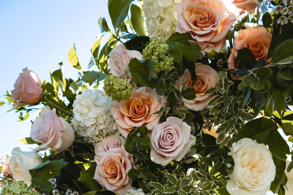 Detalles Flores y Arreglos