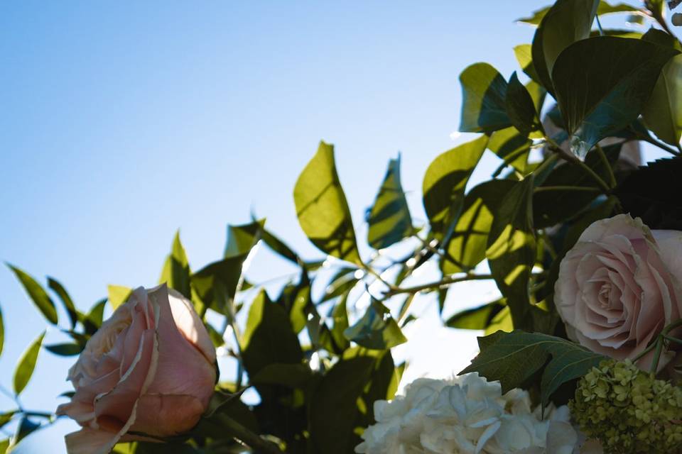 Detalles Flores y Arreglos
