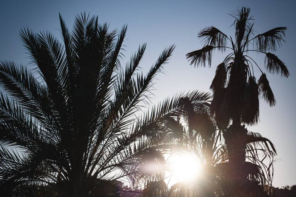 Atardecer en Jardin Tropical
