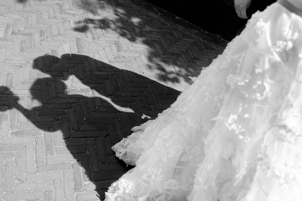 Novios
