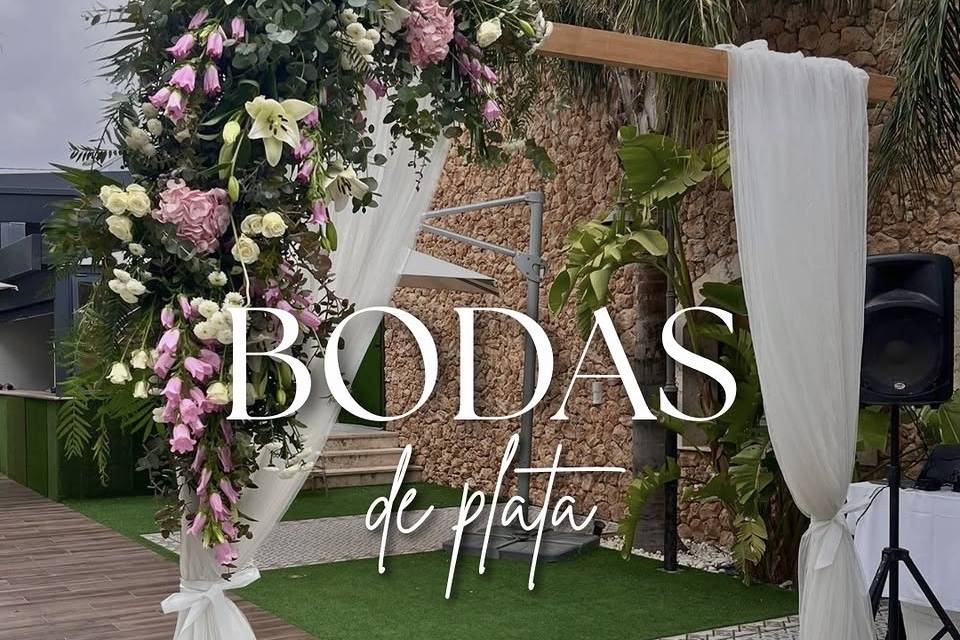 Bodas de plata
