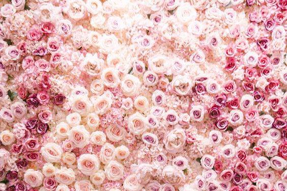 Flower Wall de rosas frescas
