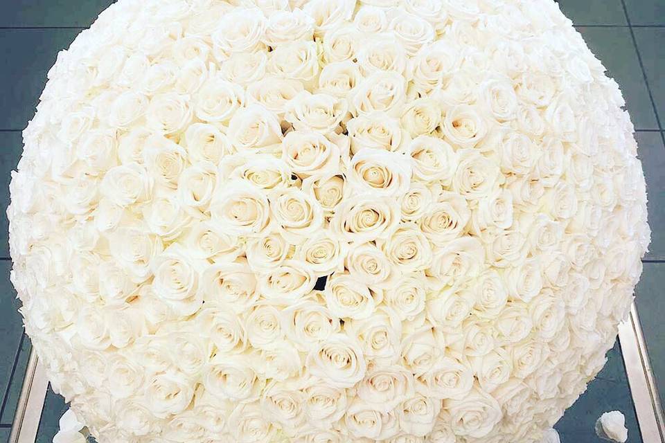 Caja de rosas frescas blancas