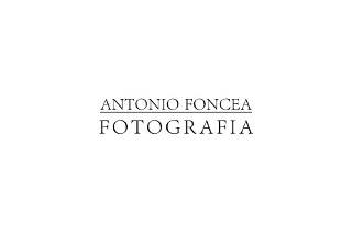 Antonio Foncea Fotógrafo