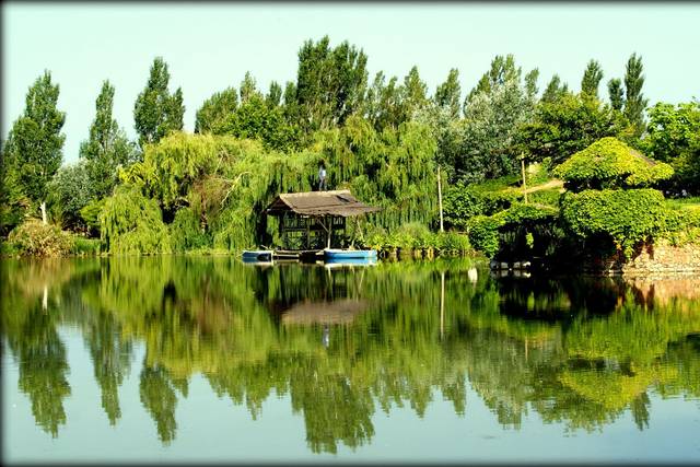 El lago · The lake