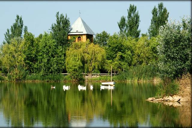 Chopos del lago · Lake poplars