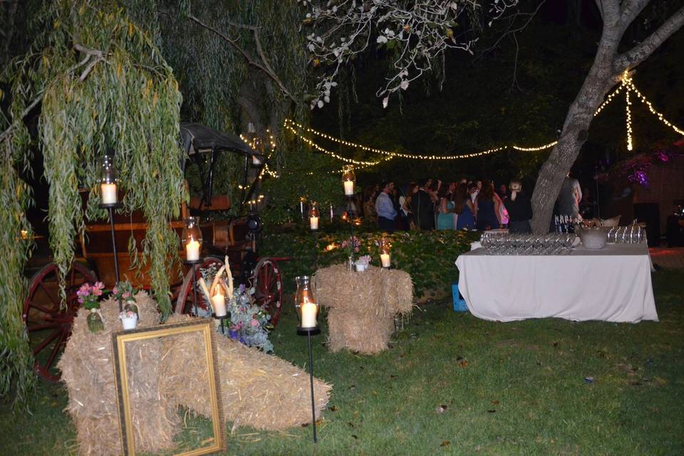 Fiesta de noche en el jardín
