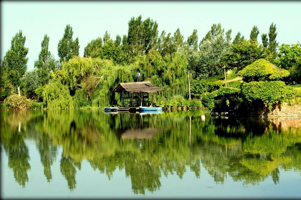 Lago